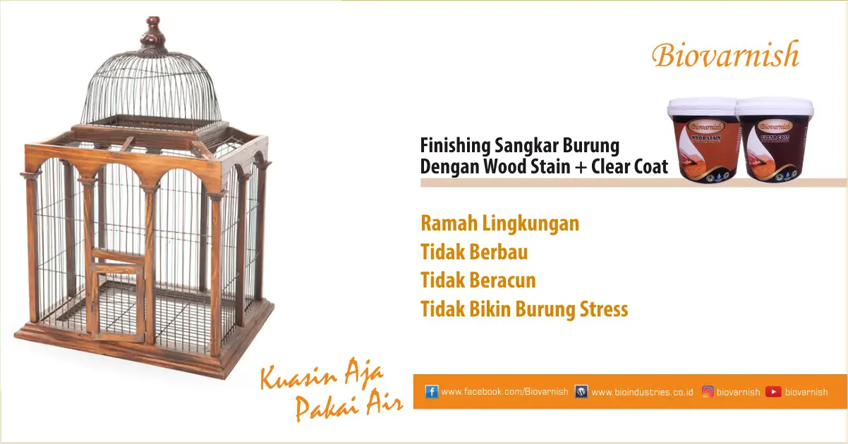 Finishing Tajam Dengan Biovarnish untuk Warna Sangkar Burung